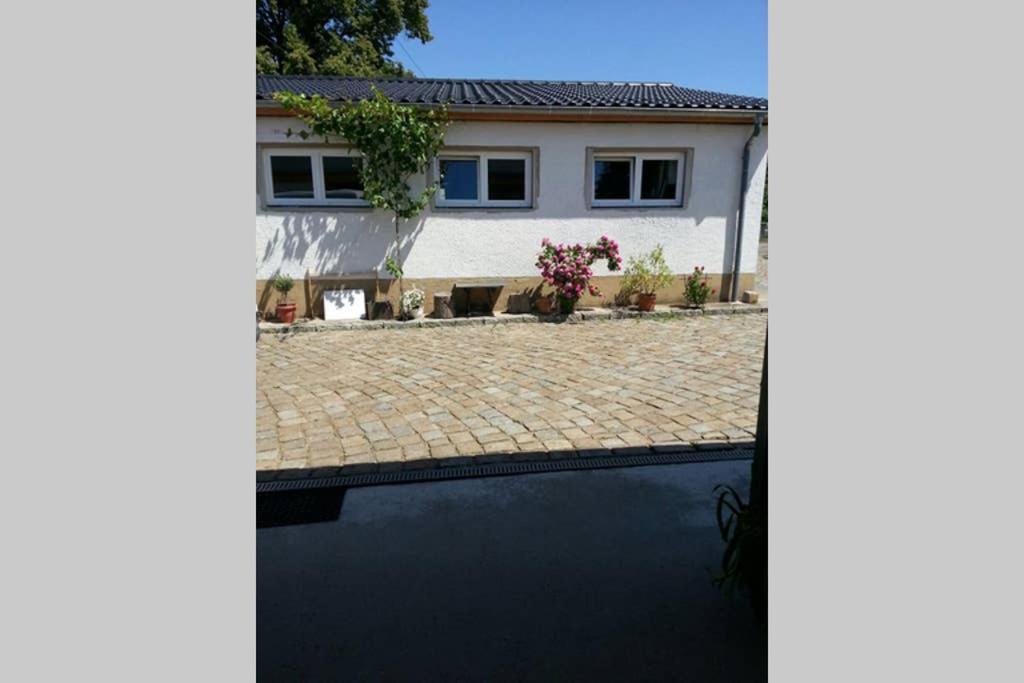 Elegantes Haus Im Dresdner Sueden Villa Bannewitz Eksteriør billede